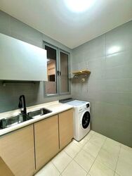 Spring @ Katong (D15), Apartment #556003161